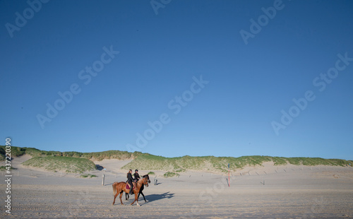 Horseriding at the beach of Julianadorp Netherlands. 
