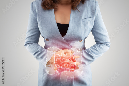 Illustration of large intestine is on the woman's body. Business Woman touching belly painful suffering from enteritis. internal organs of the human body. inflammatory bowel disease