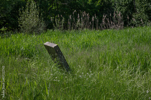 Abandoned Jewish cemetry with old gravestones. Thombstones. Flevopark Amsterdam Netherlands. Ashkenazi Jews. Begraafplaats Zeeburg. photo