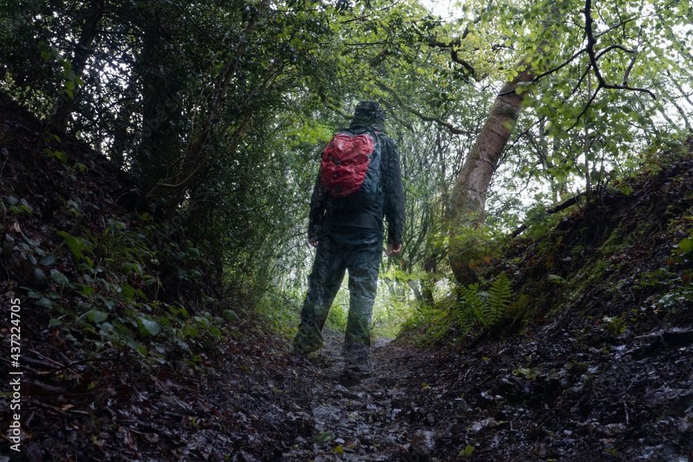 Looking up at a sunken path though woodland. On a wet, moody summers day. With a double exposure of a half transparent hiker. UK. Looking up at a sunken path though woodland. On a wet, moody summers day. With a double exposure of a half transparent hiker. UK.