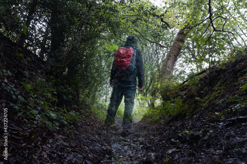 Looking up at a sunken path though woodland. On a wet, moody summers day. With a double exposure of a half transparent hiker. UK.