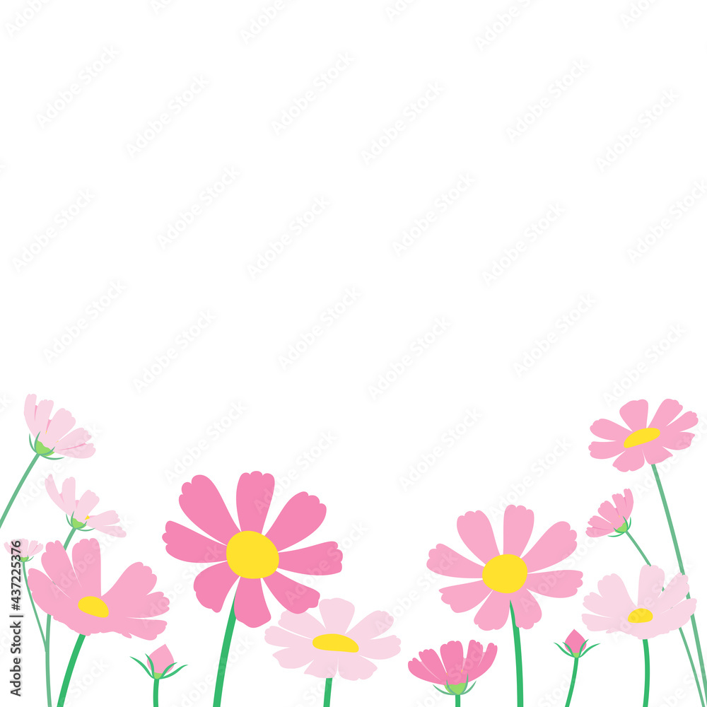 ピンクのコスモスがたくさん咲いている風景のベクターイラスト　正方形
