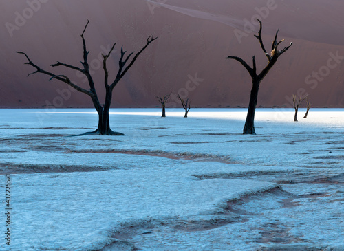 Sunrise at Deadvlei in the desert of namib photo