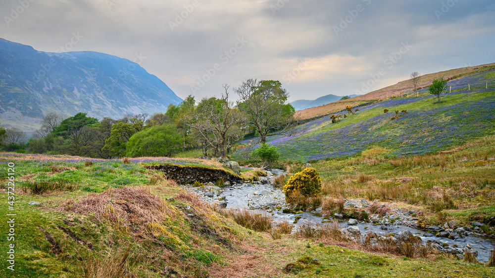 Squat Beck flows through Rannerdale, known as the Valley of the Bluebells, located next to Crummock Water in the Lake District National Park