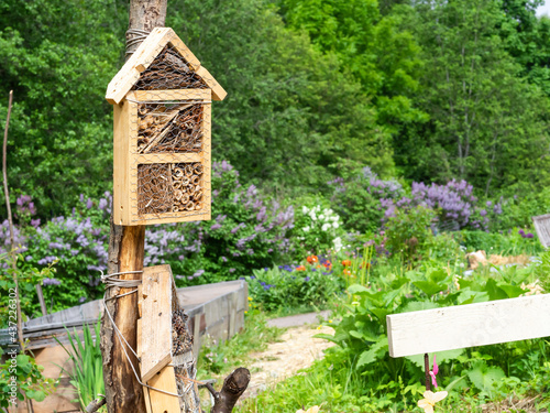 Bug hotels in a garden, a shelter for pollinators, closeup with selective focus and copy space photo
