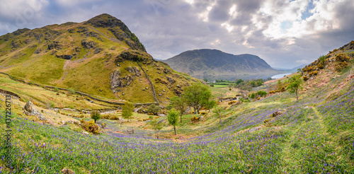 Panorama of Rannerdale Bluebell Valley, located next to Crummock Water in the Lake District National Park photo