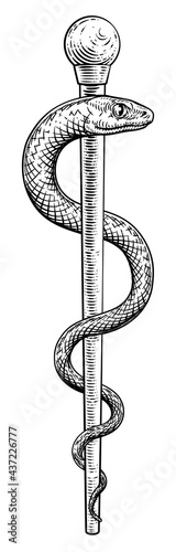Rod of Asclepius Vintage Medical Snake Symbol
