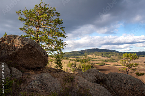 Rocks with pine trees against the sky, spring