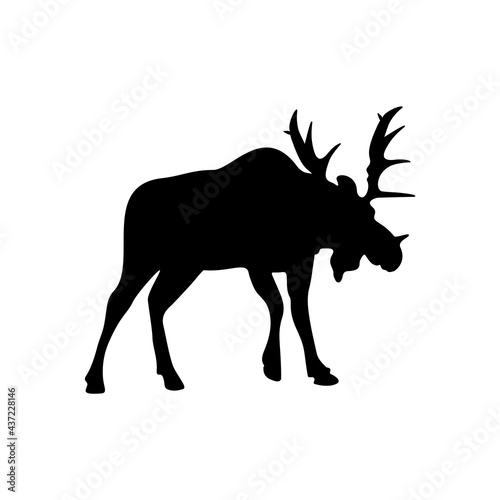 Silhouette of a wild animal moose on a white background. © KSVector