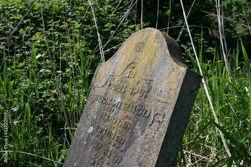 Abandoned Jewish cemetry with old gravestones. Thombstones. Flevopark Amsterdam Netherlands. Ashkenazi Jews. Begraafplaats Zeeburg. photo