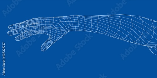 Hand. Vector rendering of 3d