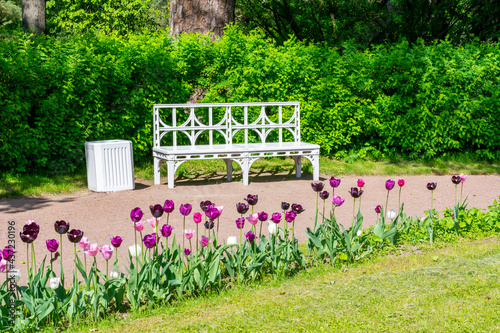 Fototapeta Naklejka Na Ścianę i Meble -  Spring tulips and bench in Pavlovsky park in Pavlovsk, Saint Petersburg, Russia