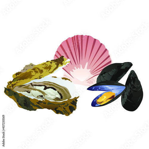 Coquillages