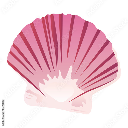 Coquille Saint-Jacques