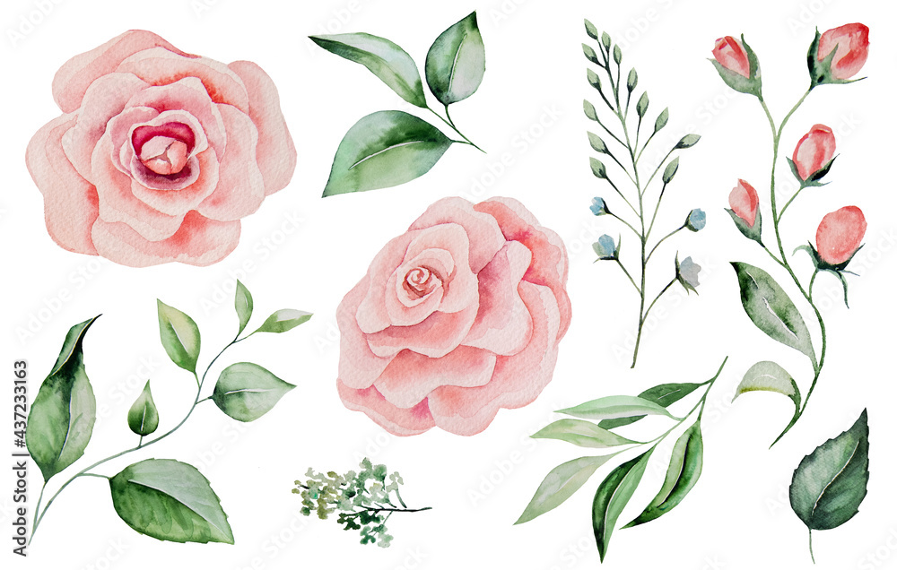 Watercolor pink roses and green leaves Illustrations Watercolor pink roses and green leaves Illustrations