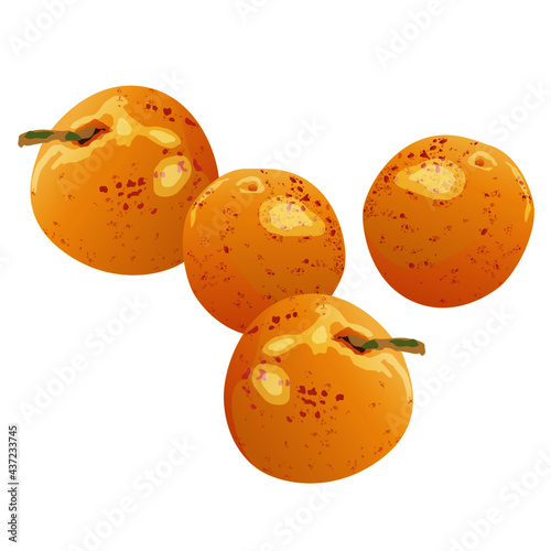 Mirabelle