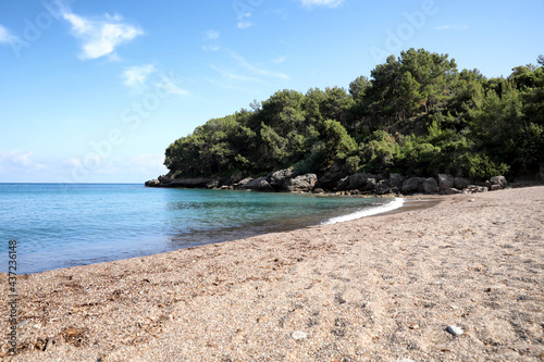 Beautiful sea beach near rocky hill with forest on sunny summer day © New Africa