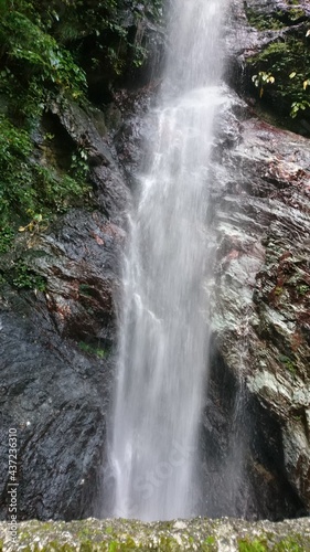 waterfall in the forest