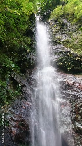 waterfall in the forest © 善久 橋本