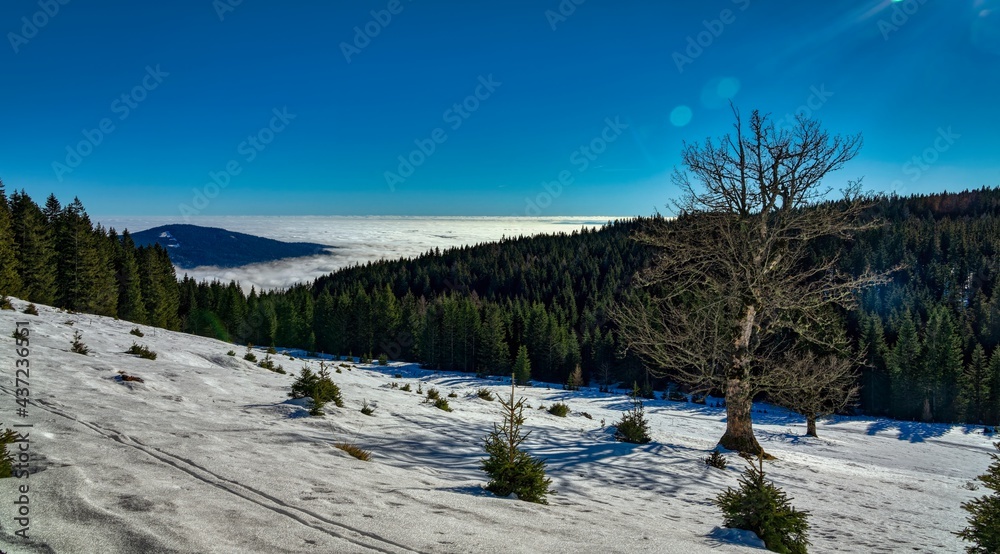 winter mountain landscape with sea of fog