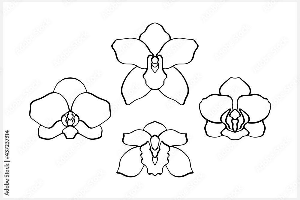 Doodle orchid collection. Hand drawn sketch. Flower vector stock illustration. EPS 10