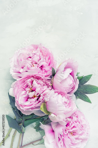 Delicate pink flowers of peonies on a light background. Vintage style. Postcard, congratulations.