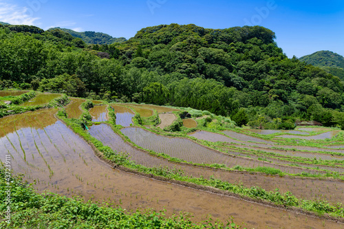 静岡県賀茂郡松崎町　石部の棚田