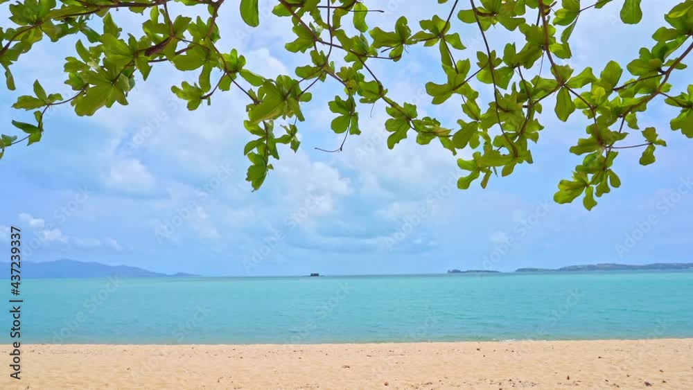 A fringe of leaves frames the golden beach on the edge of a tropical island. A fringe of leaves frames the golden beach on the edge of a tropical island.