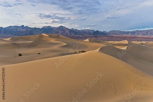 Death Valley Mesquite Sand Dunes Furnace Creek California