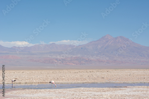 Atacama Desert