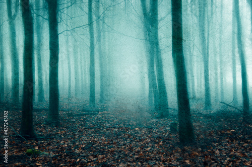 A supernatural concept of a spooky, blurred, foggy forest in winter. With a grunge, mixed media, vintage edit.