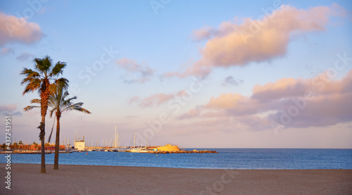 Barcelona, Spain. Barceloneta beach. Colorful evening sunset Sky with clouds. Picturesque panorama landscape with palm trees.