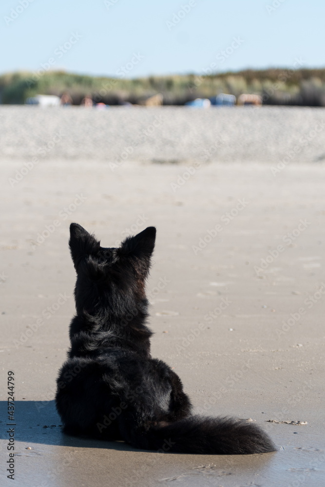 Blick in die Ferne Blick in die Ferne