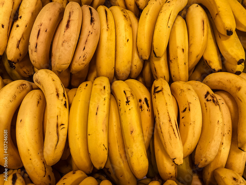 Several bunches of fresh dwarf bananas for sale in the market.