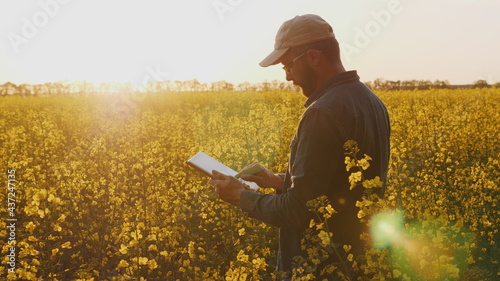 Agronomist Or Farmer Inspecting Canola Field photo