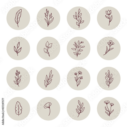 Hand drawn Instagram story highlight with minimal floral leaf, flower, branch elements. Doodle sketch style. Isolated vector illustration for logo, insta highlight, icon.
