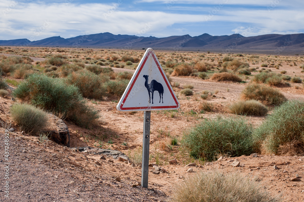 road sine to be aware of wild camels