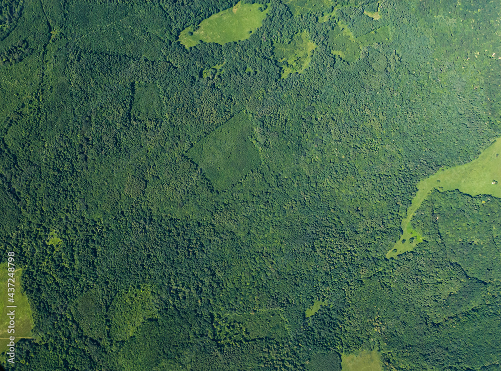 Aerial view of the forest, Krasnodar region