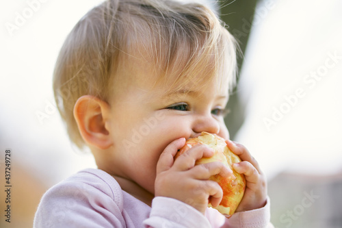 Little girl nibbles an apple while holding it with her hands. Close-up. Portrait