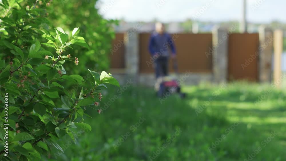 A man with an electric lawnmower in the garden cutting the grass near the trees A man with an electric lawnmower in the garden cutting the grass near the trees
