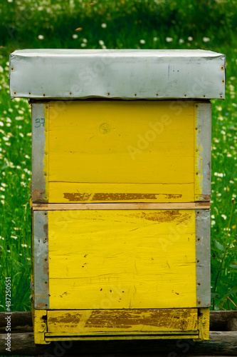 Yellow beehive from the back