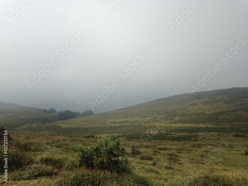 fog in the mountains
