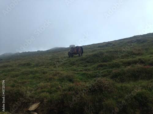 hiking in the mountains