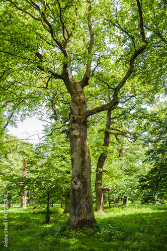 Hannover Tiergarten © Emil Lazar