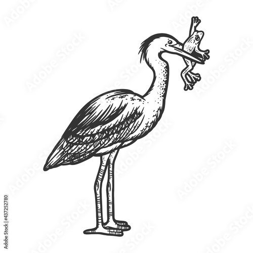 heron bird with a frog in its beak line art sketch engraving vector illustration. T-shirt apparel print design. Scratch board imitation. Black and white hand drawn image.