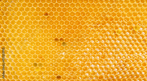 Background texture of honeycombs with fresh raw honey.