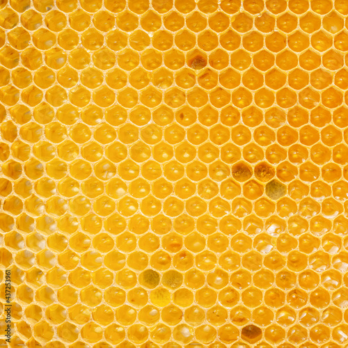 Background texture of honeycombs with fresh raw honey.