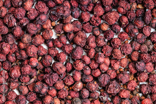 background - dried magnolia berries photo