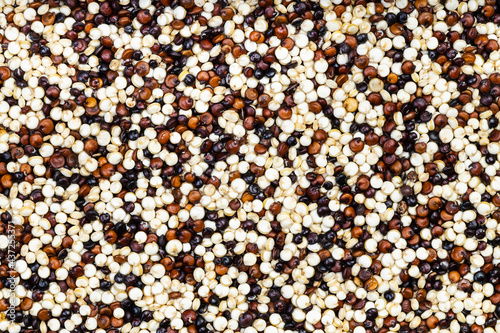 Fotografia background - blend of quinoa grains