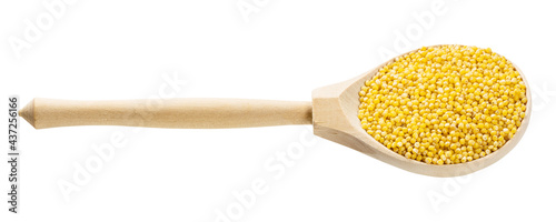 spoon with polished proso millet grains isolated